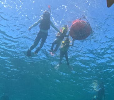 石垣島 ADVENTURE PiPi（イシガキジマアドベンチャーピピ）に投稿された画像（2025/10/9）