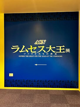ACN ラムセス大王展 ファラオたちの黄金に投稿された画像（2025/10/9）