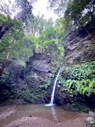 高福寺に投稿された画像（2025/10/9）