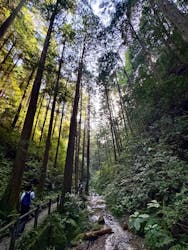 高福寺に投稿された画像（2025/10/9）