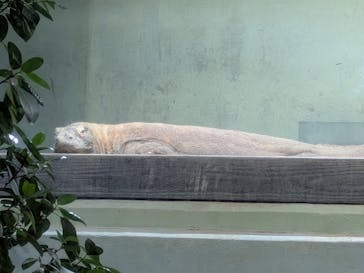 名古屋市東山動植物園に投稿された画像（2025/10/9）