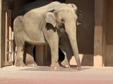 名古屋市東山動植物園に投稿された画像（2025/10/9）