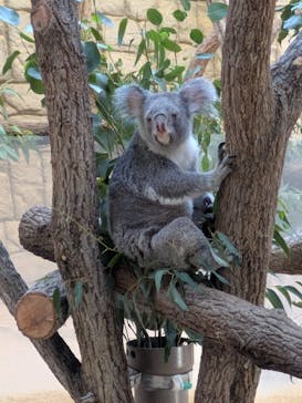 名古屋市東山動植物園に投稿された画像（2025/10/9）