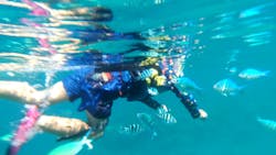 EGGダイビングに投稿された画像（2025/10/4）