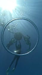 EGGダイビングに投稿された画像（2025/10/4）