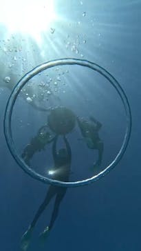 EGGダイビングに投稿された画像（2025/10/4）