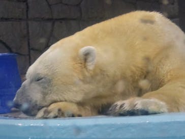 静岡市立日本平動物園に投稿された画像（2025/10/9）