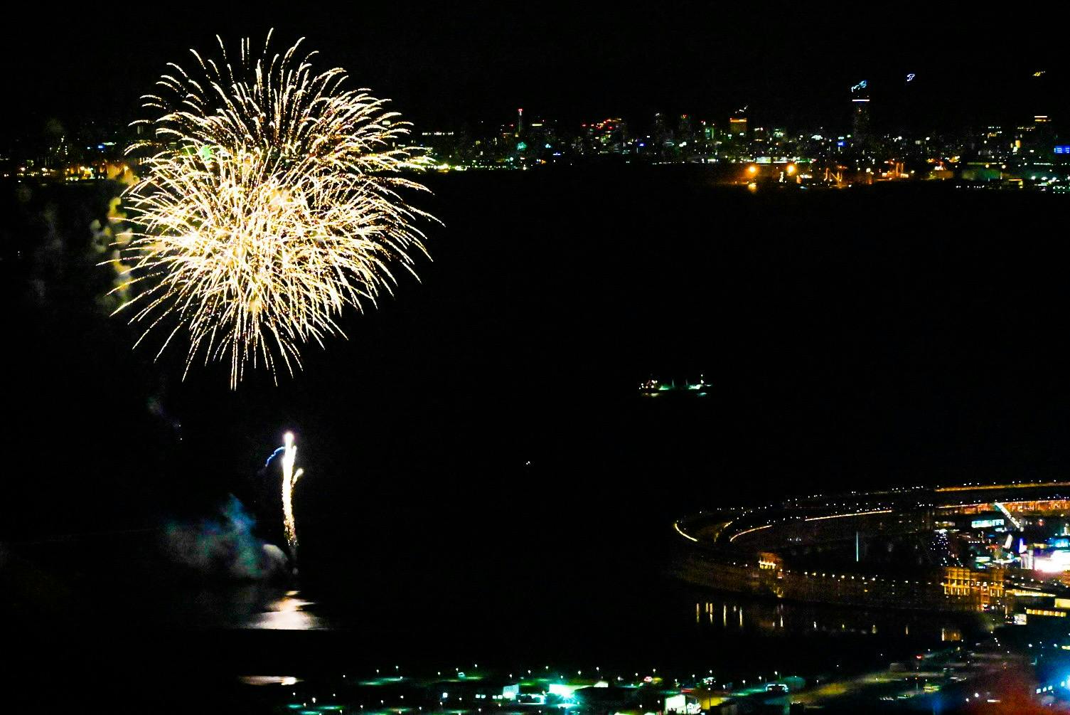 review0003035450-001--4865d5f8