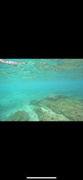 武藤潜水に投稿された画像（2025/10/10）