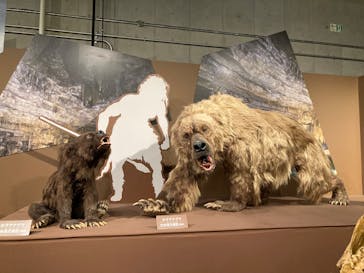 特別展「氷河期展 〜人類が見た4万年前の世界〜」（国立科学博物館）に投稿された画像（2025/10/10）