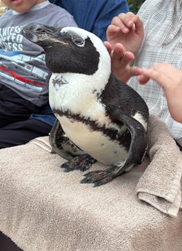 掛川花鳥園に投稿された画像（2025/10/10）