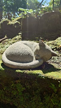 仙巌園に投稿された画像（2025/10/10）