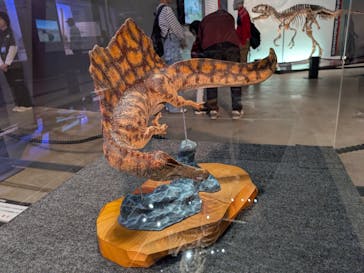 福井県立恐竜博物館に投稿された画像（2025/10/10）