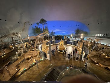 福井県立恐竜博物館に投稿された画像（2025/10/10）