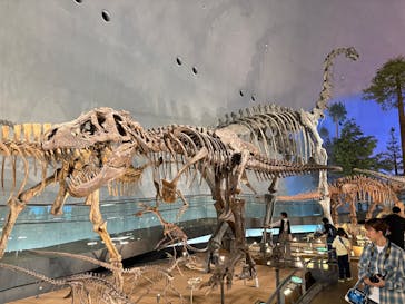 福井県立恐竜博物館に投稿された画像（2025/10/10）