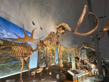 福井県立恐竜博物館に投稿された画像（2025/10/10）