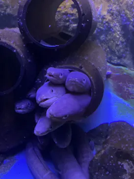 仙台うみの杜水族館に投稿された画像（2025/10/10）