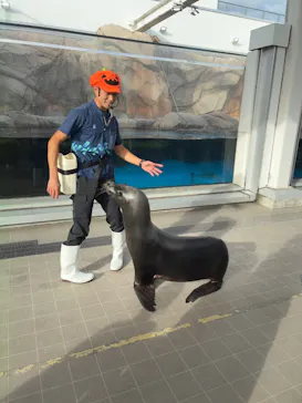 仙台うみの杜水族館に投稿された画像（2025/10/10）