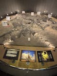 福井県立恐竜博物館に投稿された画像（2025/10/10）