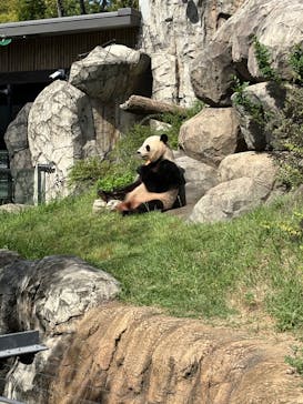恩賜上野動物園に投稿された画像（2025/10/10）