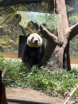 恩賜上野動物園に投稿された画像（2025/10/10）