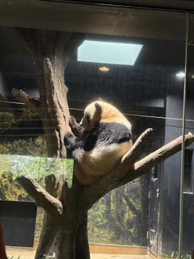 恩賜上野動物園に投稿された画像（2025/10/10）