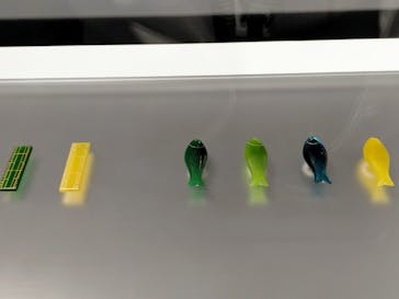 正倉院 THE SHOW ―感じる。いま、ここにある奇跡―　@上野の森美術館に投稿された画像（2025/10/10）