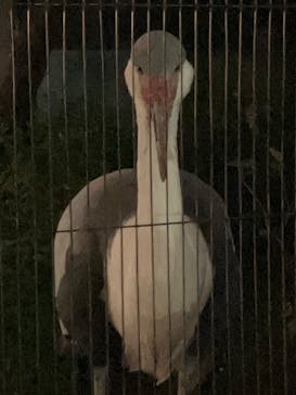 恩賜上野動物園に投稿された画像（2025/10/10）
