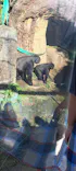 恩賜上野動物園に投稿された画像（2025/10/10）