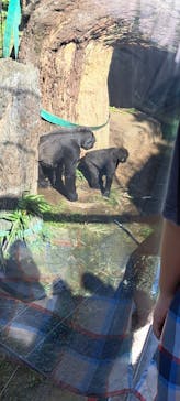 恩賜上野動物園に投稿された画像（2025/10/10）
