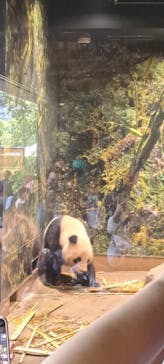 恩賜上野動物園に投稿された画像（2025/10/10）