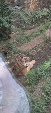恩賜上野動物園に投稿された画像（2025/10/10）