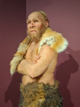 特別展「氷河期展 〜人類が見た4万年前の世界〜」（国立科学博物館）に投稿された画像（2025/10/10）