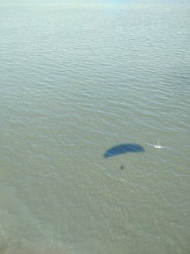 スカイエンジェルに投稿された画像（2025/10/10）