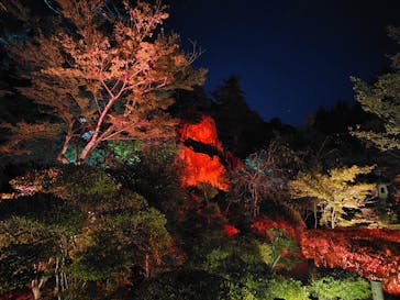 NAKED夜さんぽ™ 石川・那谷寺に投稿された画像（2025/10/10）