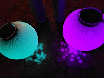 NAKED夜さんぽ™ 石川・那谷寺に投稿された画像（2025/10/10）