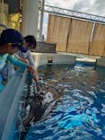 新江ノ島水族館に投稿された画像（2025/10/10）