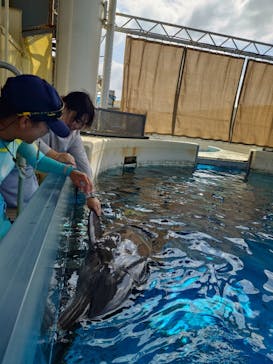 新江ノ島水族館に投稿された画像（2025/10/10）