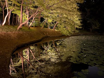 夜間特別開園 秋の夜長の小石川後楽園2025に投稿された画像（2025/10/10）