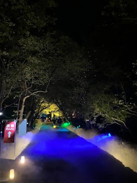 NAKED夜さんぽ™ 石川・那谷寺に投稿された画像（2025/10/10）