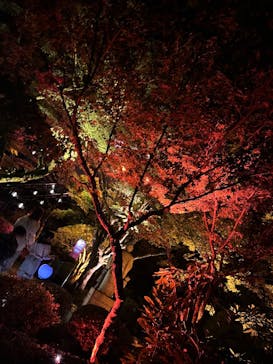 NAKED夜さんぽ™ 石川・那谷寺に投稿された画像（2025/10/10）