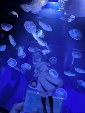 サンシャイン水族館に投稿された画像（2025/10/10）