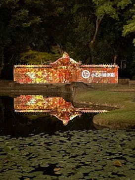 夜間特別開園 秋の夜長の小石川後楽園2025に投稿された画像（2025/10/10）