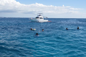 M.a.r.i.n.e Factoryに投稿された画像（2025/10/10）