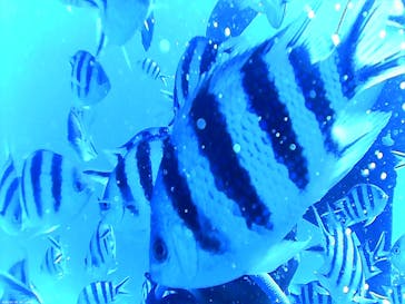 M.a.r.i.n.e Factoryに投稿された画像（2025/10/10）