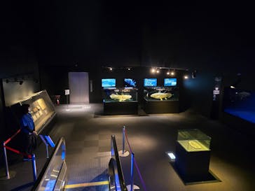 環境水族館アクアマリンふくしまに投稿された画像（2025/10/10）