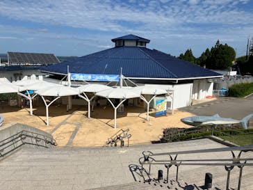 のとじま水族館に投稿された画像（2025/10/10）