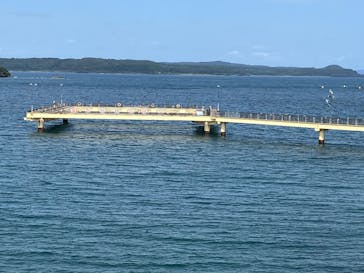 のとじま水族館に投稿された画像（2025/10/10）
