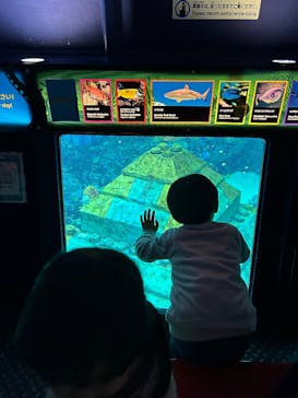 レゴランドⓇ・ジャパン・リゾートに投稿された画像（2025/10/11）