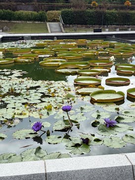 名古屋市東山動植物園に投稿された画像（2025/10/11）